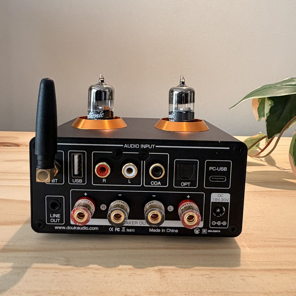 Panel trasero del ST-01 PRO: Bluetooth, USB, RCA, coaxial, óptica y bornes de parlante
