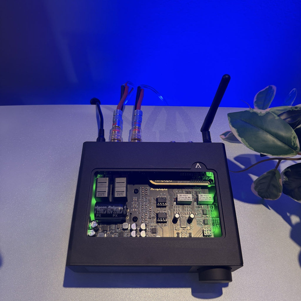 Interior del Ampapa D1: placa con chip TPA3255 y componentes