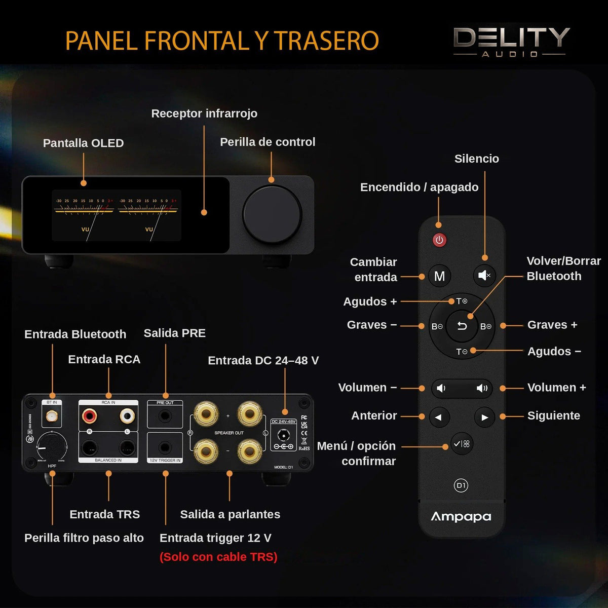 Panel frontal, panel trasero y control remoto del Ampapa D1