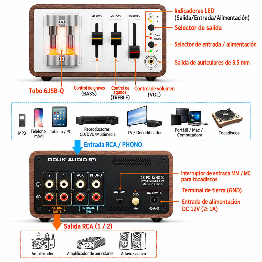 Guía de controles y conexiones del T12: entradas RCA/phono, salidas y audífonos