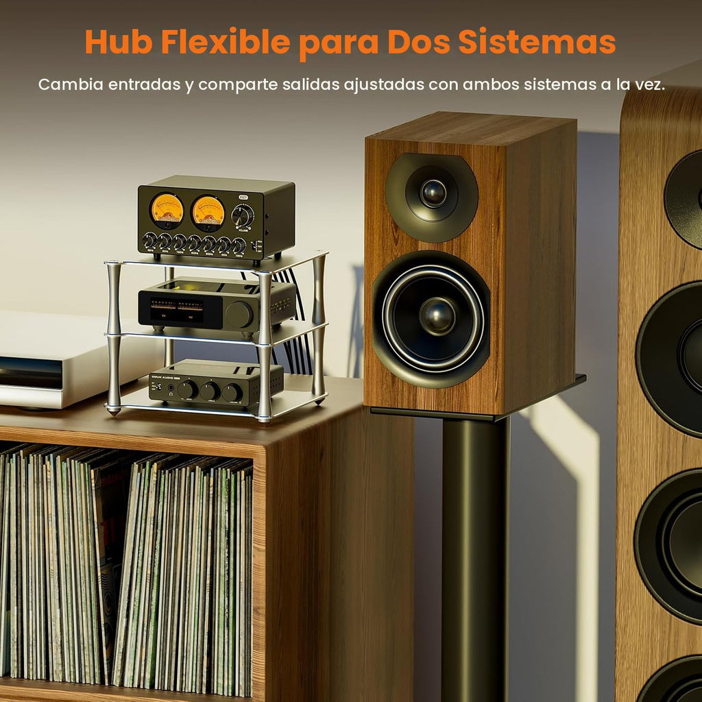 EQ7 en un sistema de audio de hogar con parlantes y tornamesa